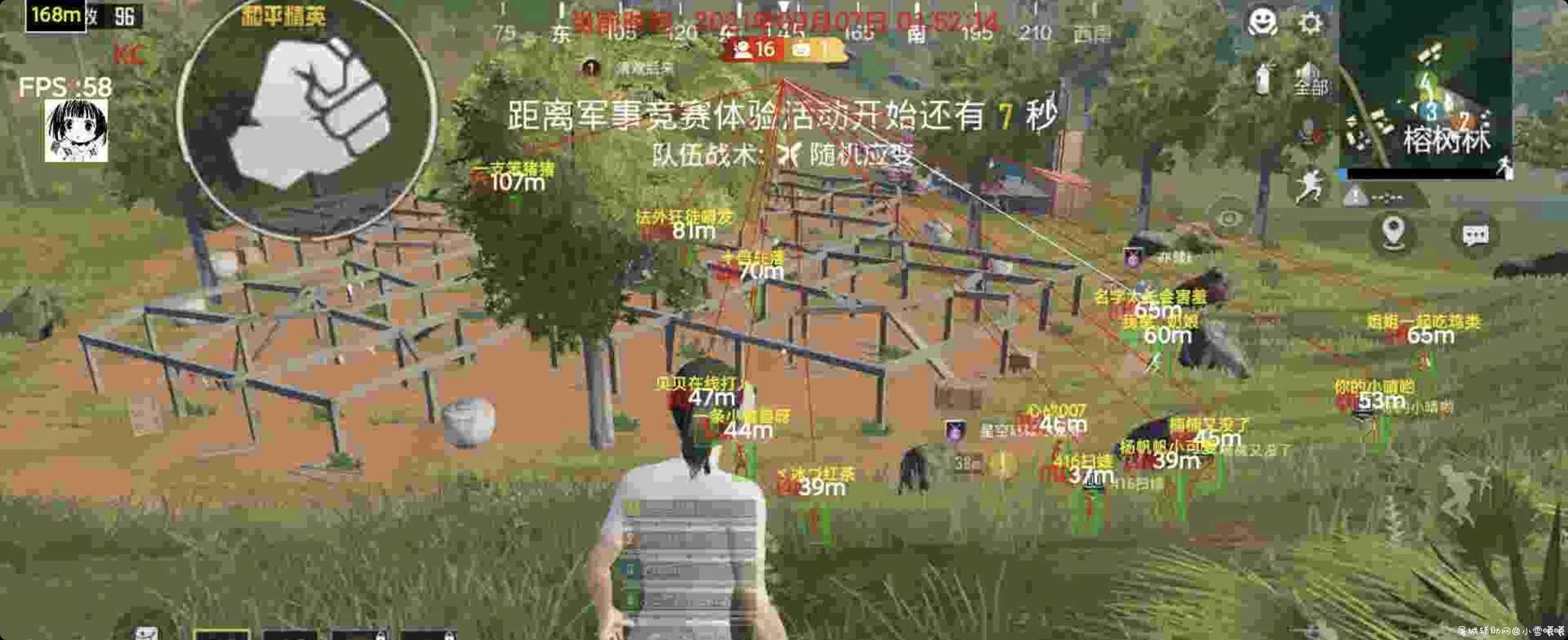 和平精英高仿某花多功能辅助 TC辅助网www.tcsq1.com7471