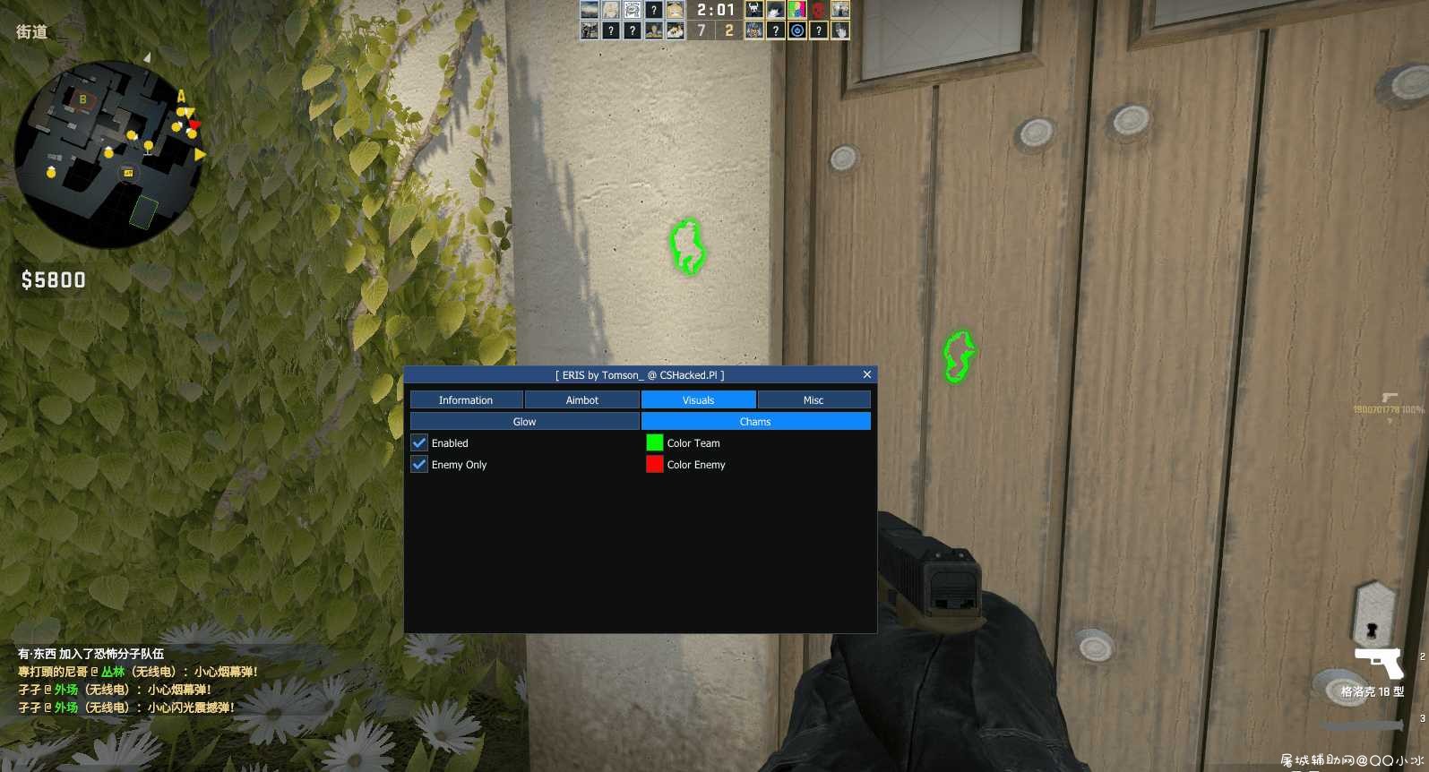 CSGO Eris雷达透视自瞄防闪作弊辅助V10.5免费版 TC辅助网www.tcsq1.com6387