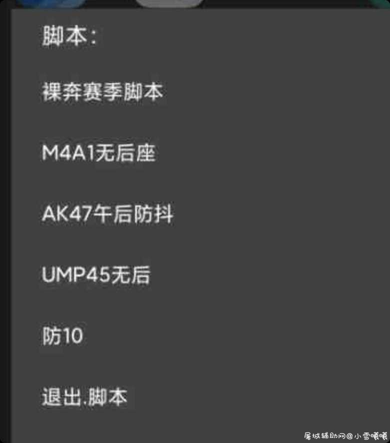 和平精英裸奔无后脚本 TC辅助网www.tcsq1.com3407