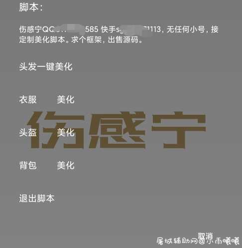 伤感宁和平精英美化脚本v1.2 TC辅助网www.tcsq1.com5425