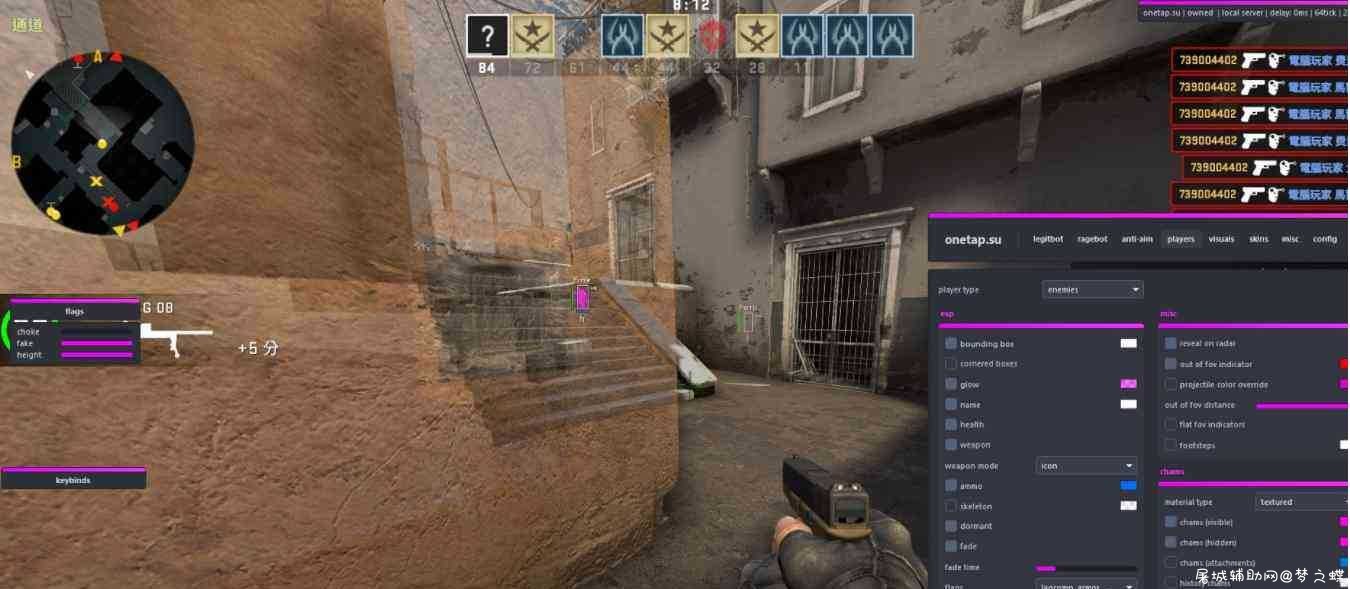onetap v2一款強大的CSGO陀螺輔助 TC辅助网www.tcsq1.com4935