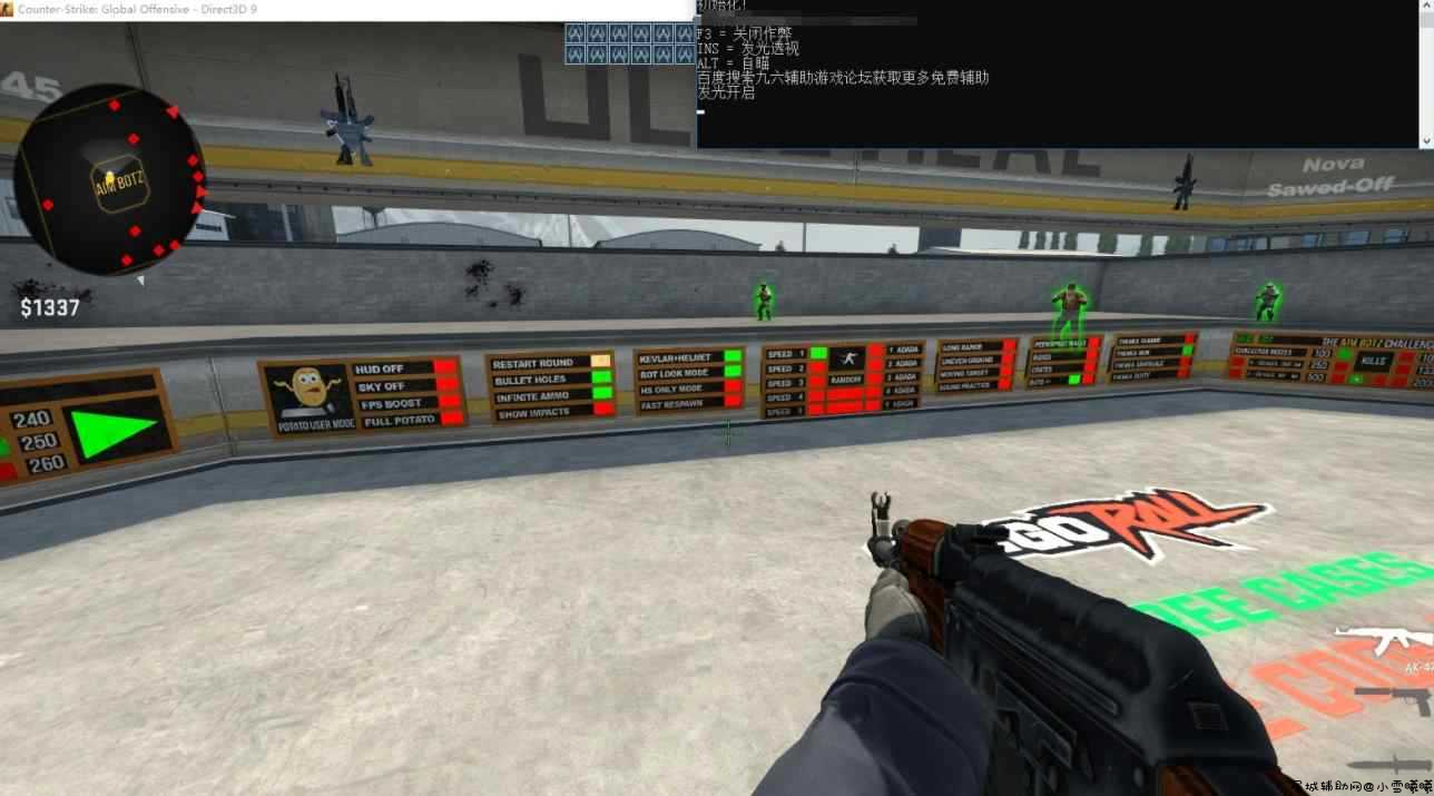 CSGO最新外部发光透视自瞄 TC辅助网www.tcsq1.com990