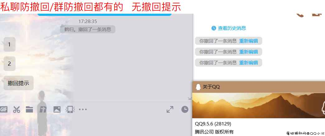 [1.23更新]腾讯QQ9.5.6（28129）防撤回补丁 TC辅助网www.tcsq1.com9740