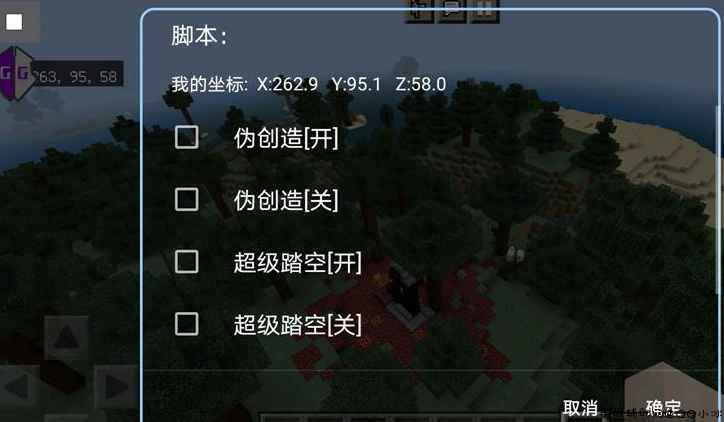 我的世界国际版脚本随便飞，随便传送，功能随便开 TC辅助网www.tcsq1.com7557