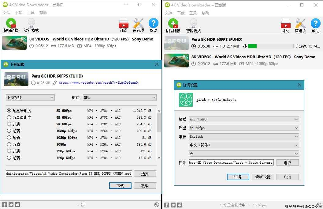 4K Video Downloader v4.19.4 TC辅助网www.tcsq1.com5662