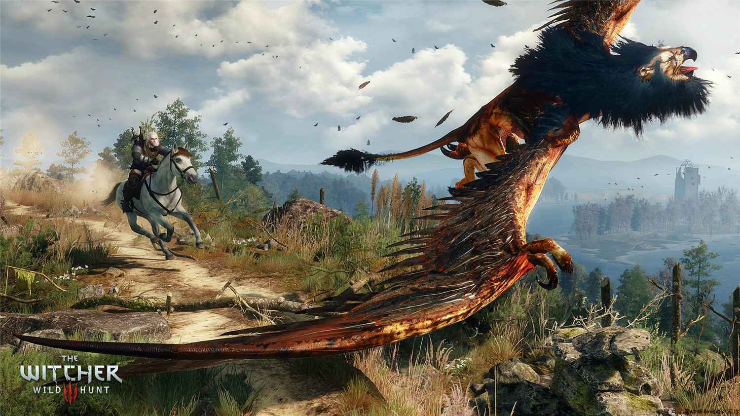 巫师3：狂猎年度版/免费共享steam账号 TC辅助网www.tcsq1.com5685