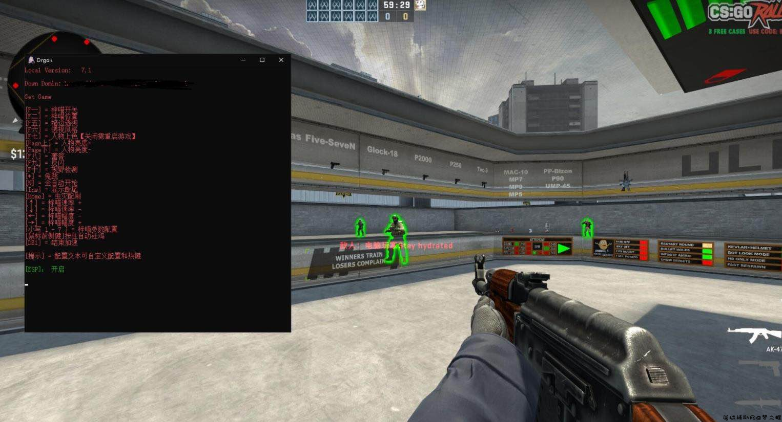 CSGO烛龙官匹多功能免费版助手 TC辅助网www.tcsq1.com3989