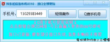辣条短信轰炸机骗子惩罚者 TC辅助网www.tcsq1.com6963