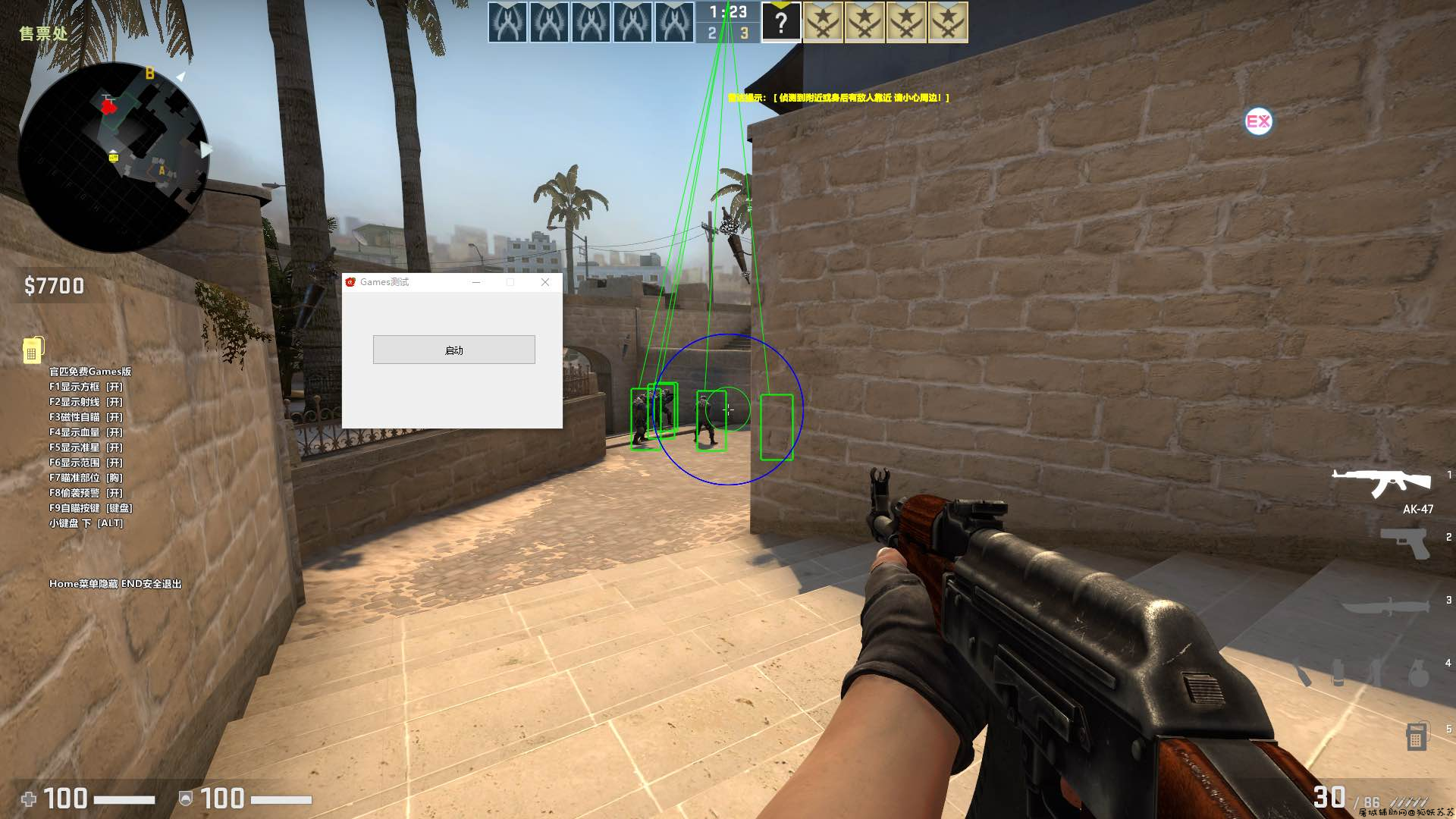 CSGO Games透视自瞄作弊辅助破解版 TC辅助网www.tcsq1.com9727