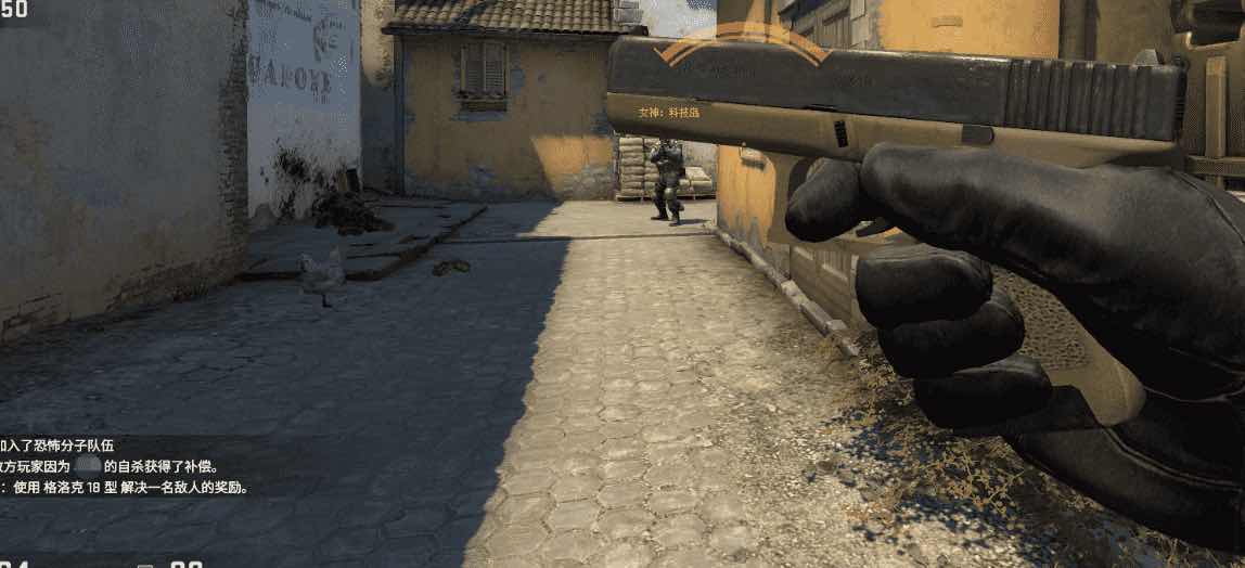 CSGOWZ5E专用透视自瞄辅助破解版 TC辅助网www.tcsq1.com2254
