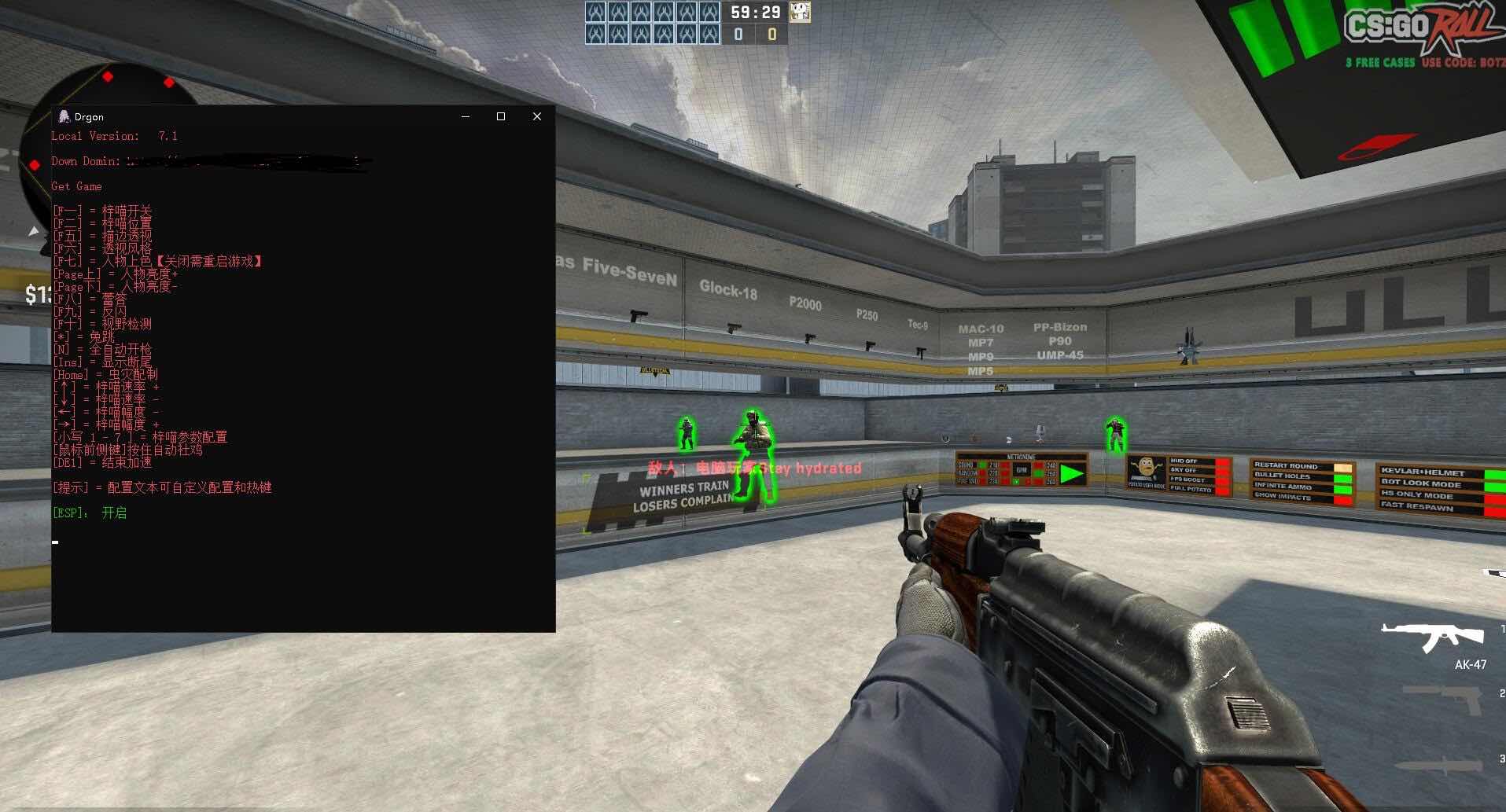 CSGO烛龙透视自瞄10.5免费版 TC辅助网www.tcsq1.com2699