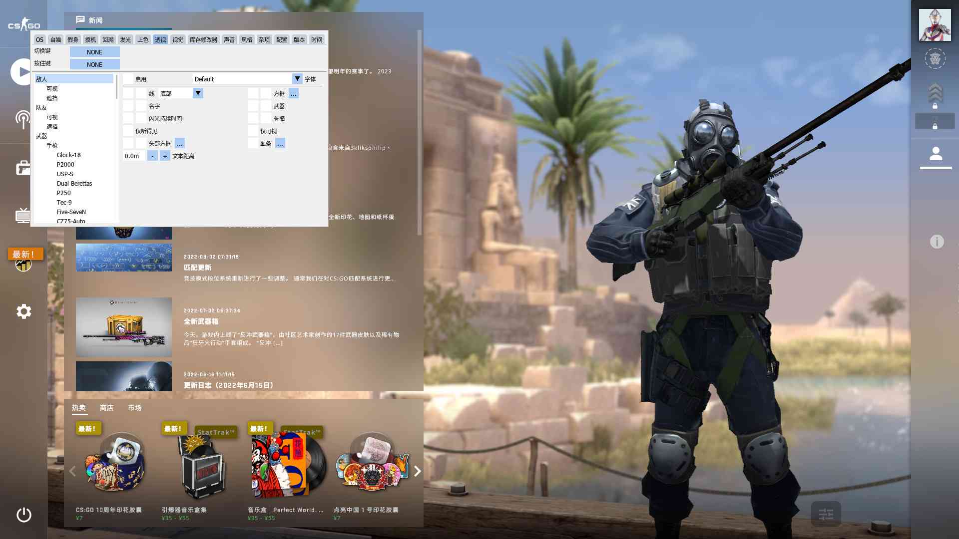 csgo海王全能版辅助破解免费 TC辅助网www.tcsq1.com3130