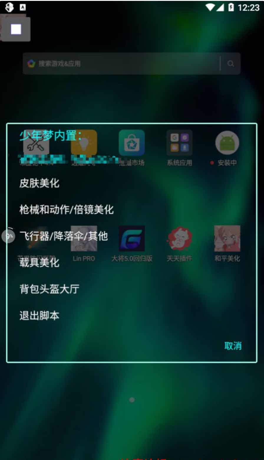 和平精英少年梦皮肤枪械套装美化内置脚本插件 TC辅助网www.tcsq1.com3465
