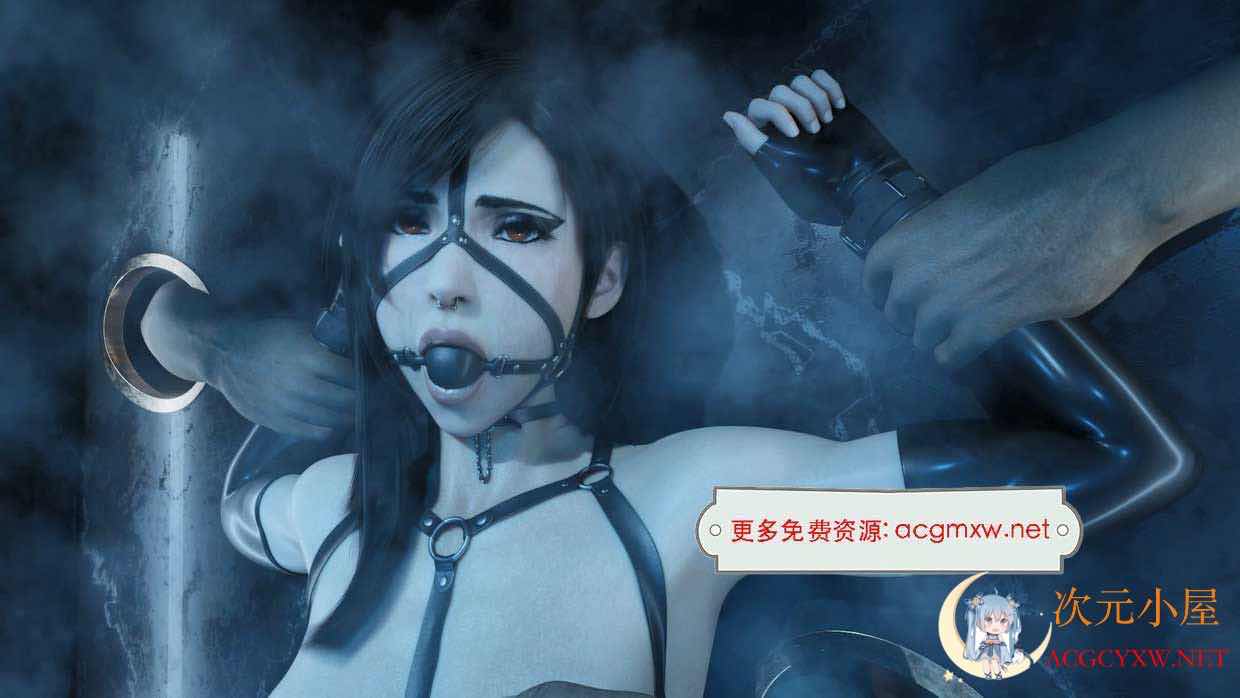 [3D同人/全动态]Gifdoozer大师 蒂法拘束+劳拉地狱 超HD全系列合集[新整合/3.9G] TC辅助网www.tcsq1.com9376