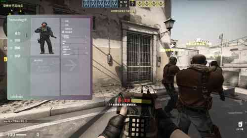 CSGO官匹多功能透视自瞄 陀螺！！！ TC辅助网www.tcsq1.com5473