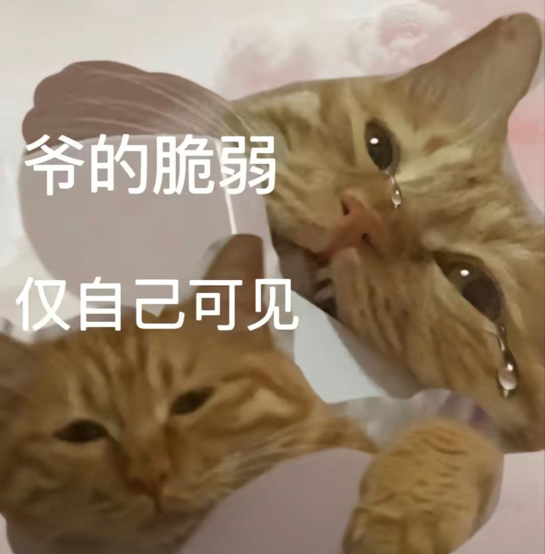 雏鸟破解版谁有破解版分享一下 TC辅助网www.tcsq1.com6574