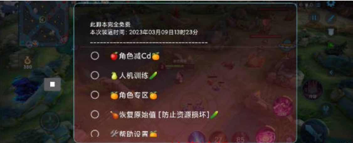 王者荣耀内透上帝视角减CD多功能脚本 TC辅助网www.tcsq1.com1880