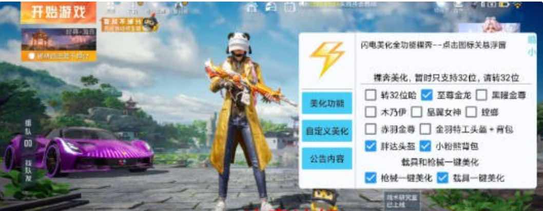 和平精英闪电枪械皮肤套装美化功能插件v1.0 TC辅助网www.tcsq1.com9707