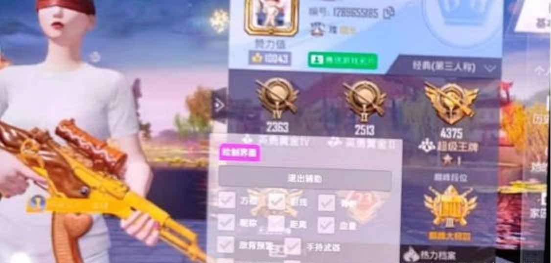 和平精英Comial裸奔绘制方框透视射线插件 TC辅助网www.tcsq1.com2435