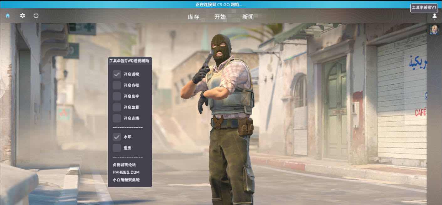 CS2-透视辅助方框血量连线名字可中文绘制 TC辅助网www.tcsq1.com5043