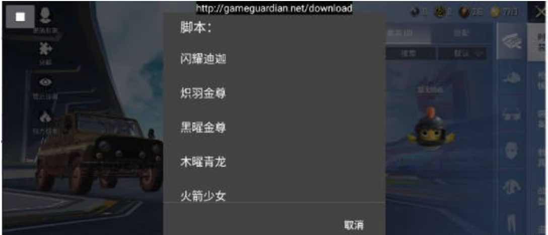 和平精英新版套装皮肤美化包功能脚本 TC辅助网www.tcsq1.com1871
