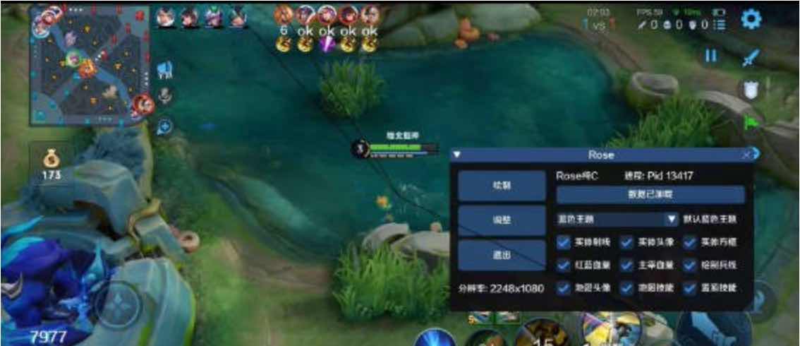 王者荣耀Rose绘制透视CD野怪计时插件v1.0 TC辅助网www.tcsq1.com6139