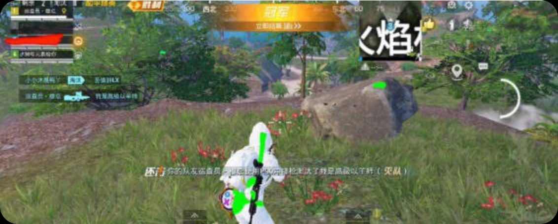和平精英Apple裸奔内透上色纯C插件v1.0 TC辅助网www.tcsq1.com2872