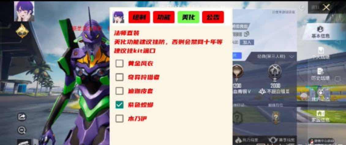 和平精英全职法师绘制自瞄无后多功能直装V2 TC辅助网www.tcsq1.com6167