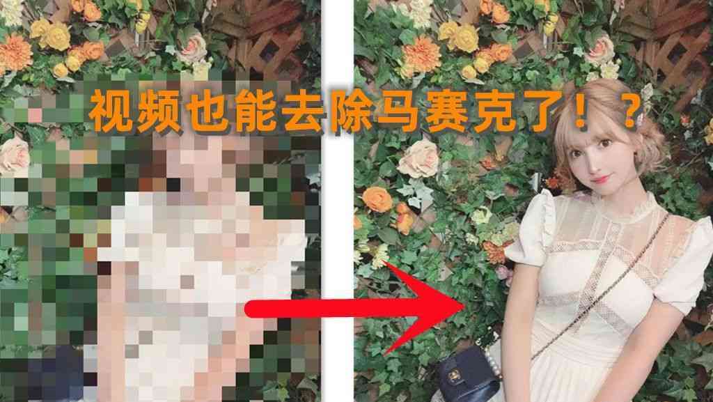 去除马赛克视频播放器+视频教程 TC辅助网www.tcsq1.com138