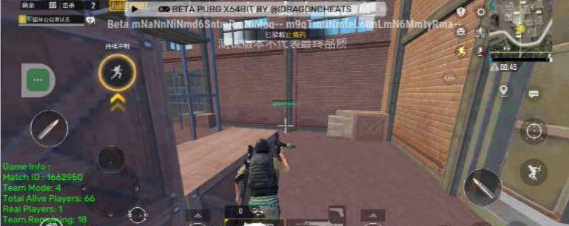 PUBG国体老外绘制自瞄子追多功能一体直装 TC辅助网www.tcsq1.com1774