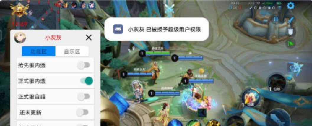 王者荣耀小灰灰体验服国服通用内透插件 TC辅助网www.tcsq1.com2119