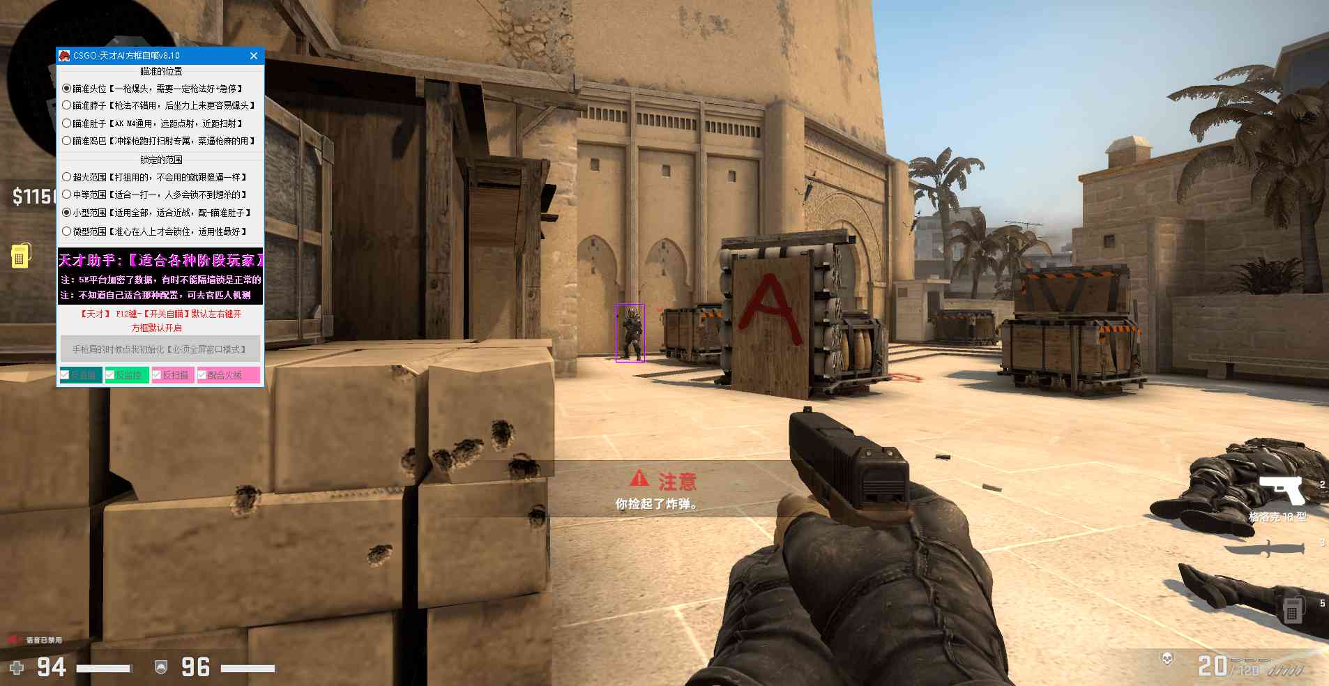 CSGO天才少年5E专用自瞄 TC辅助网www.tcsq1.com2130
