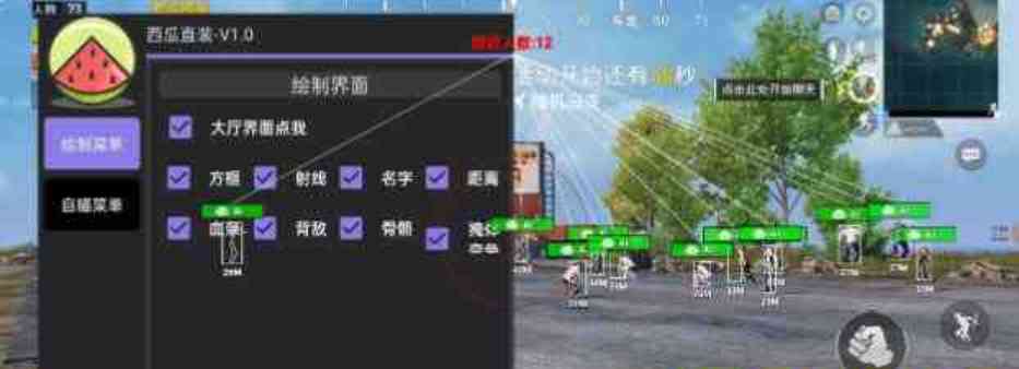 和平精英直装西瓜破觧 TC辅助网www.tcsq1.com1756