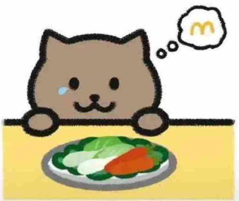 胖猫谭竹事件全过程 TC辅助网www.tcsq1.com4688