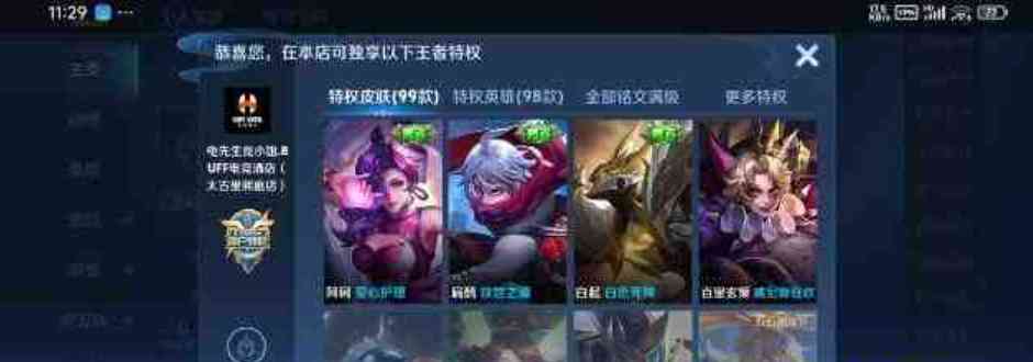 防异常莱斯特王者荣耀公益特权 TC辅助网www.tcsq1.com1427