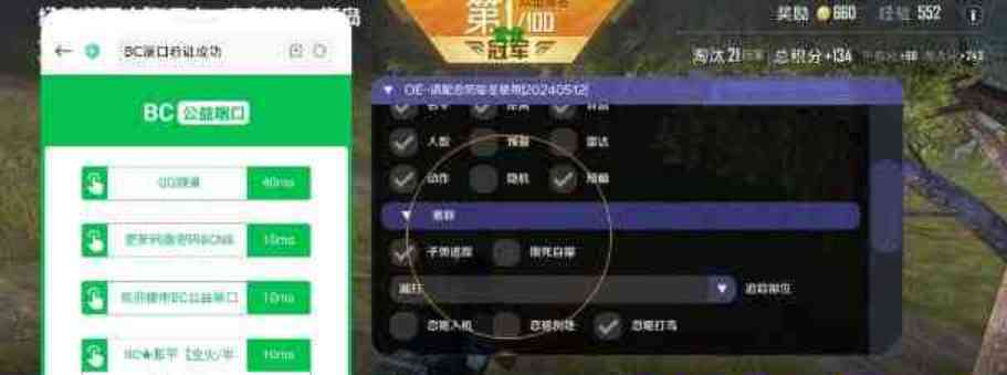 和平精英公益防封端口4.0 TC辅助网www.tcsq1.com534