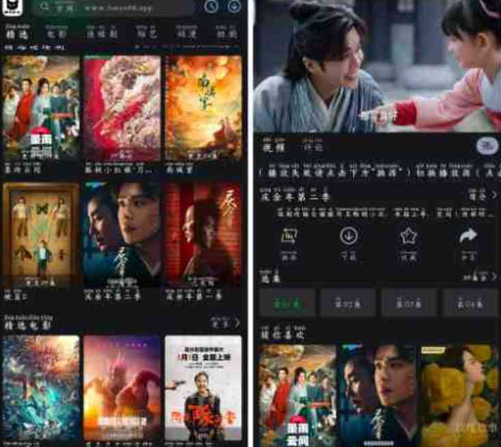 黑猫影视v1.3.3去广告版全网影视免费看 TC辅助网www.tcsq1.com6540