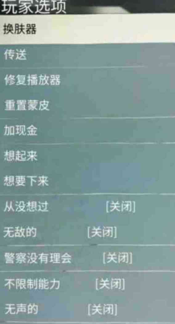 GTA5线下内置辅助 TC辅助网www.tcsq1.com1848