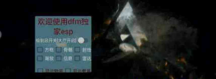 三角洲行动DFM直装破觧版最新 TC辅助网www.tcsq1.com2675