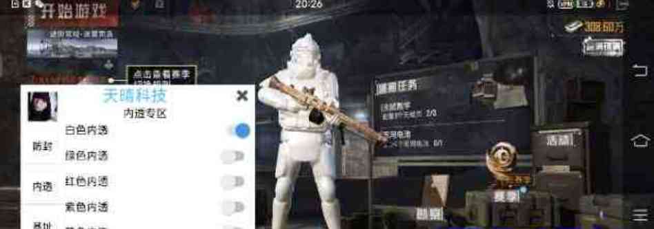 和平内透[天晴]公益直装 TC辅助网www.tcsq1.com1289