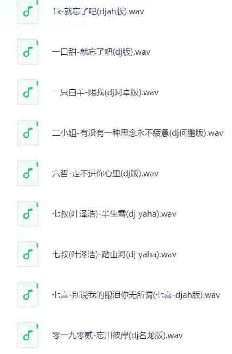 抖音热门华语劲爆车载DJ歌曲合集 TC辅助网www.tcsq1.com2283
