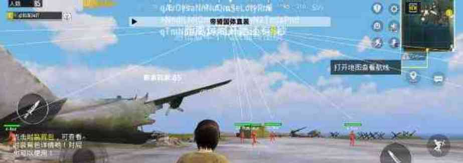 PUBG帝骑国体直装1.0 TC辅助网www.tcsq1.com7736