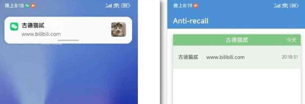 Anti-recall一款QQ/微信消息防撤回App TC辅助网www.tcsq1.com8531