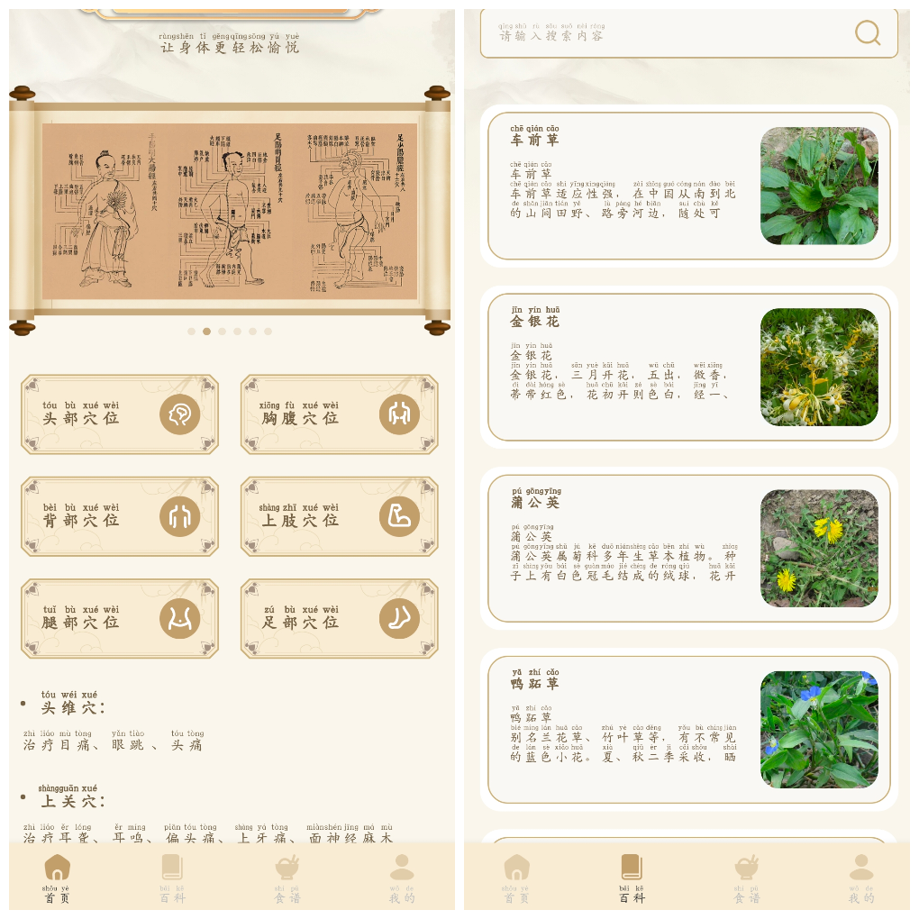 中医经络穴位典籍v1.1去广告版 中医爱好者必备 TC辅助网www.tcsq1.com8758