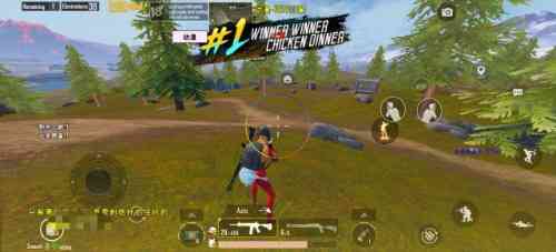 PUBG四服动漫公益一体直装 TC辅助网www.tcsq1.com7657