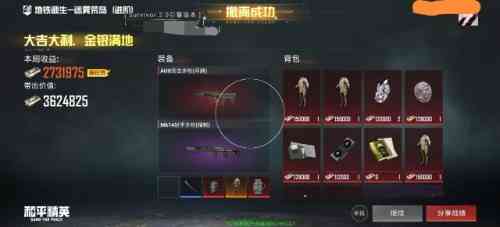 和平精英Survivor直装2.0破觧 TC辅助网www.tcsq1.com9389