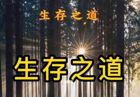 体制内生存之道 活得通透 自己开心 别人也舒服 TC辅助网www.tcsq1.com5302