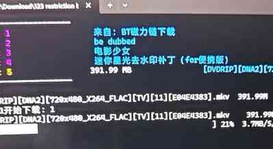123云盘非会员破觧1G下载限制 TC辅助网www.tcsq1.com3343