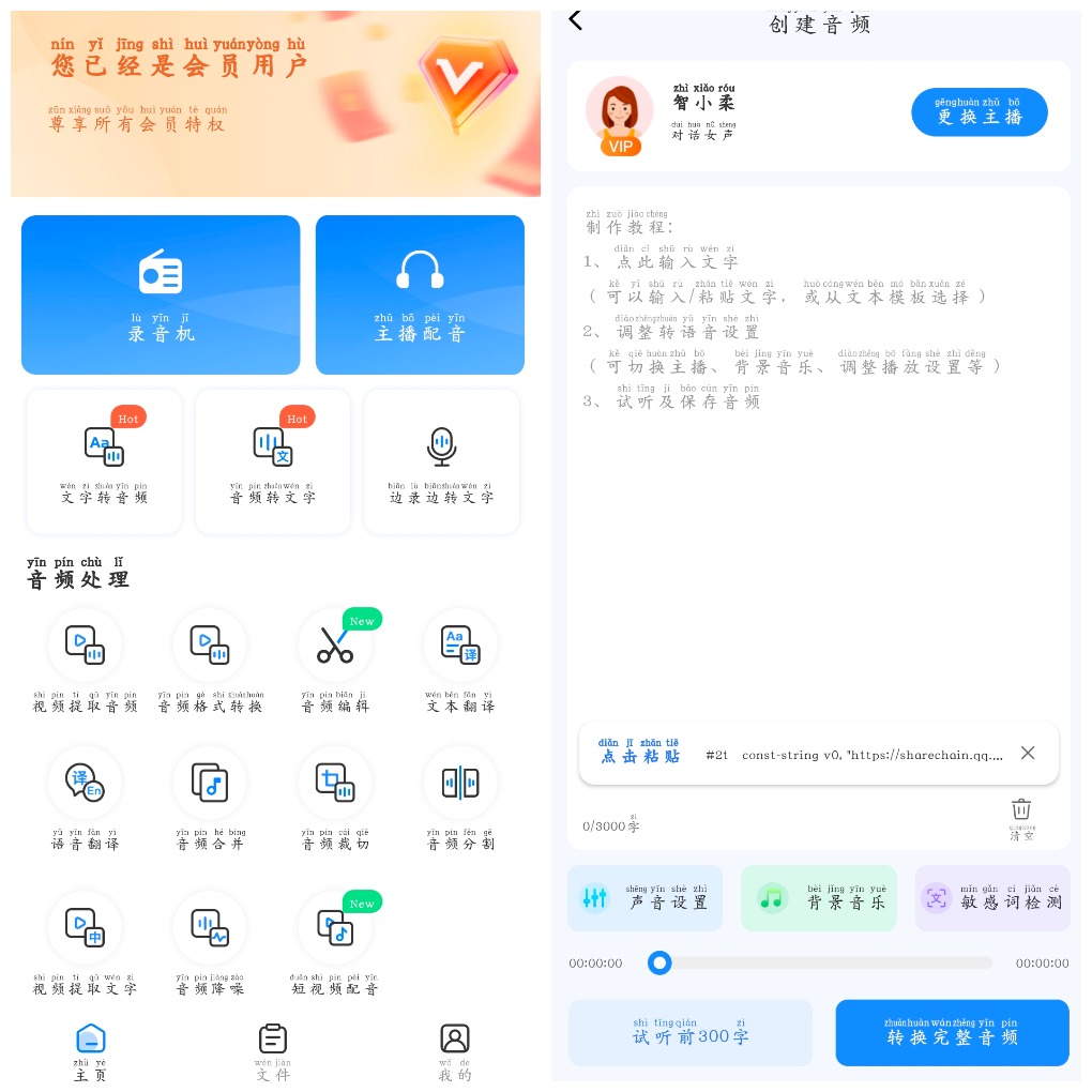 录音转换宝v4.12.10会员版  配音神器提供录音转文字 TC辅助网www.tcsq1.com1493