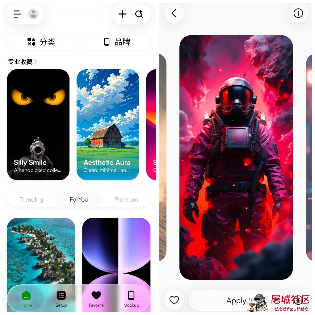 彩虹4K壁纸v6.7会员版  多种4K壁纸资源 TC辅助网www.tcsq1.com3030
